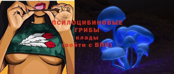 гидропоника Армянск