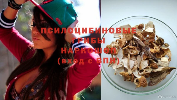 MESCALINE Аркадак