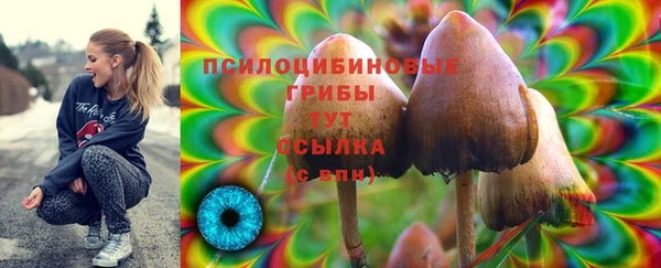 MESCALINE Аркадак