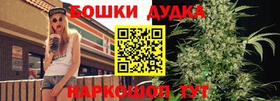 молекула духа Пугачёв