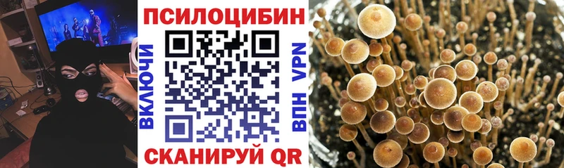 Галлюциногенные грибы GOLDEN TEACHER Черняховск